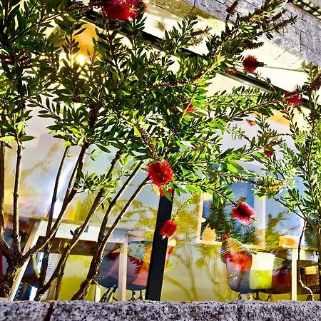 Rossi 3* Сартен