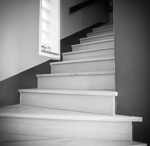 酒店 罗西酒店 3*