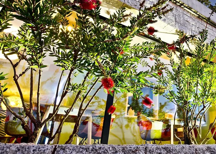 罗西酒店 3* 萨尔泰纳