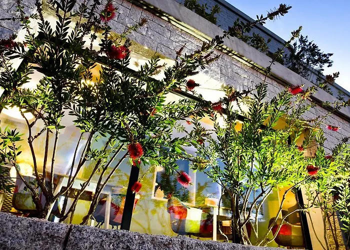 酒店 罗西酒店 萨尔泰纳